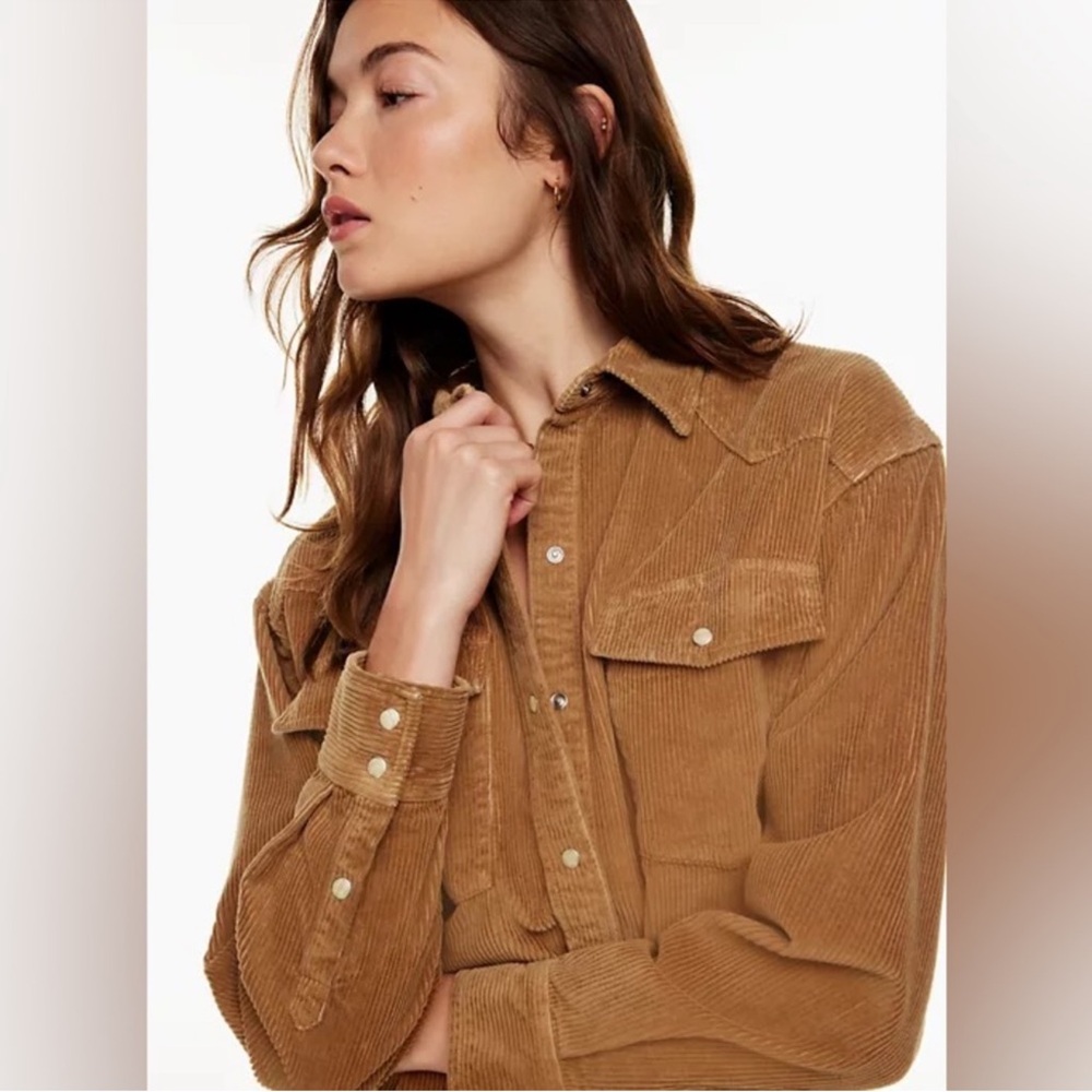 Aritzia Denim Forum Nina Jacket